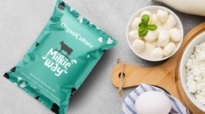Organic Culture Milk Packet Design
