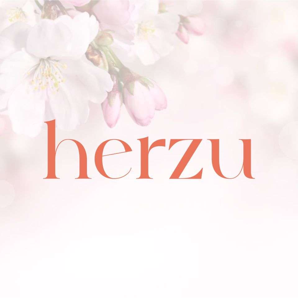 Logo Designing Herzu