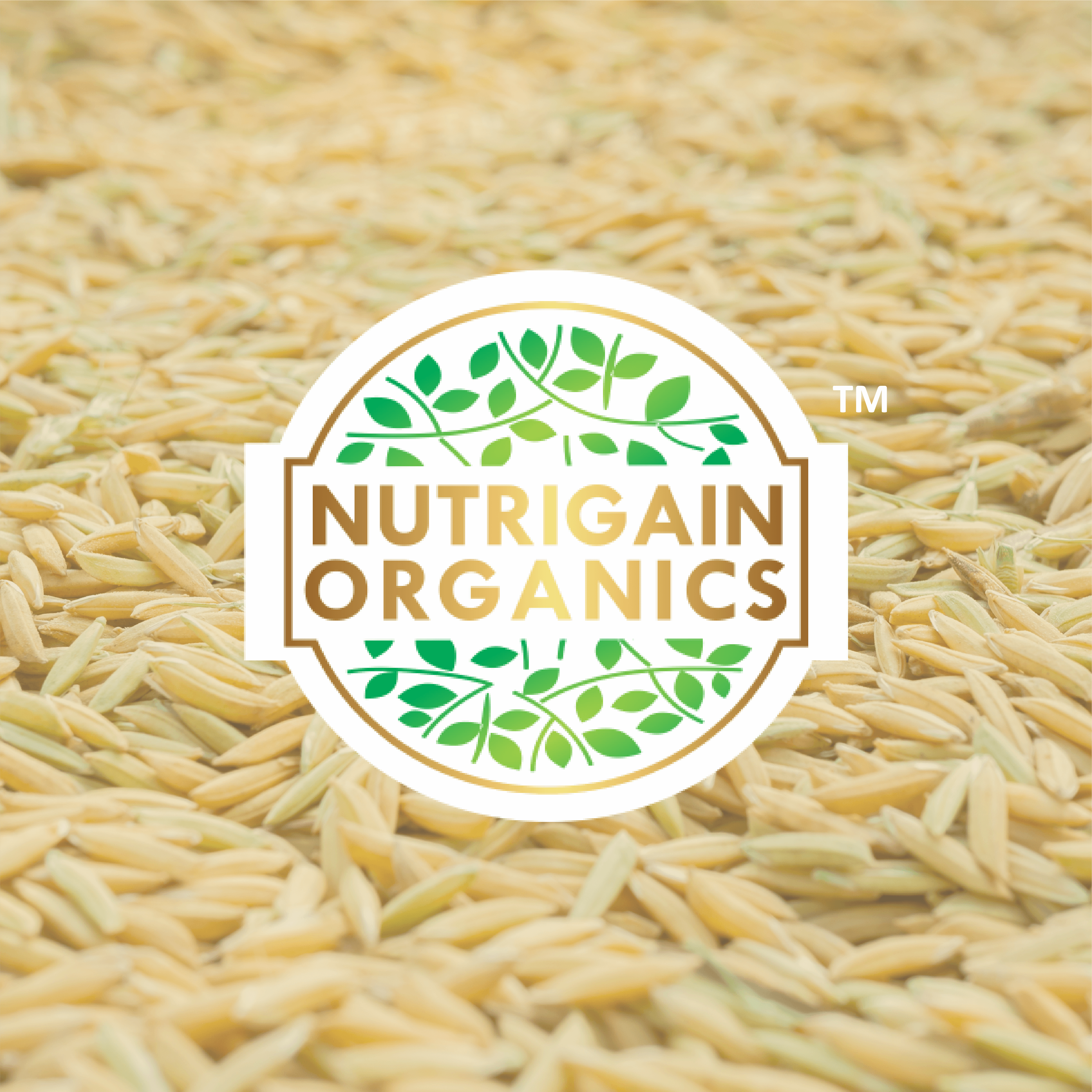 Logo Designing Nutrigain Organics