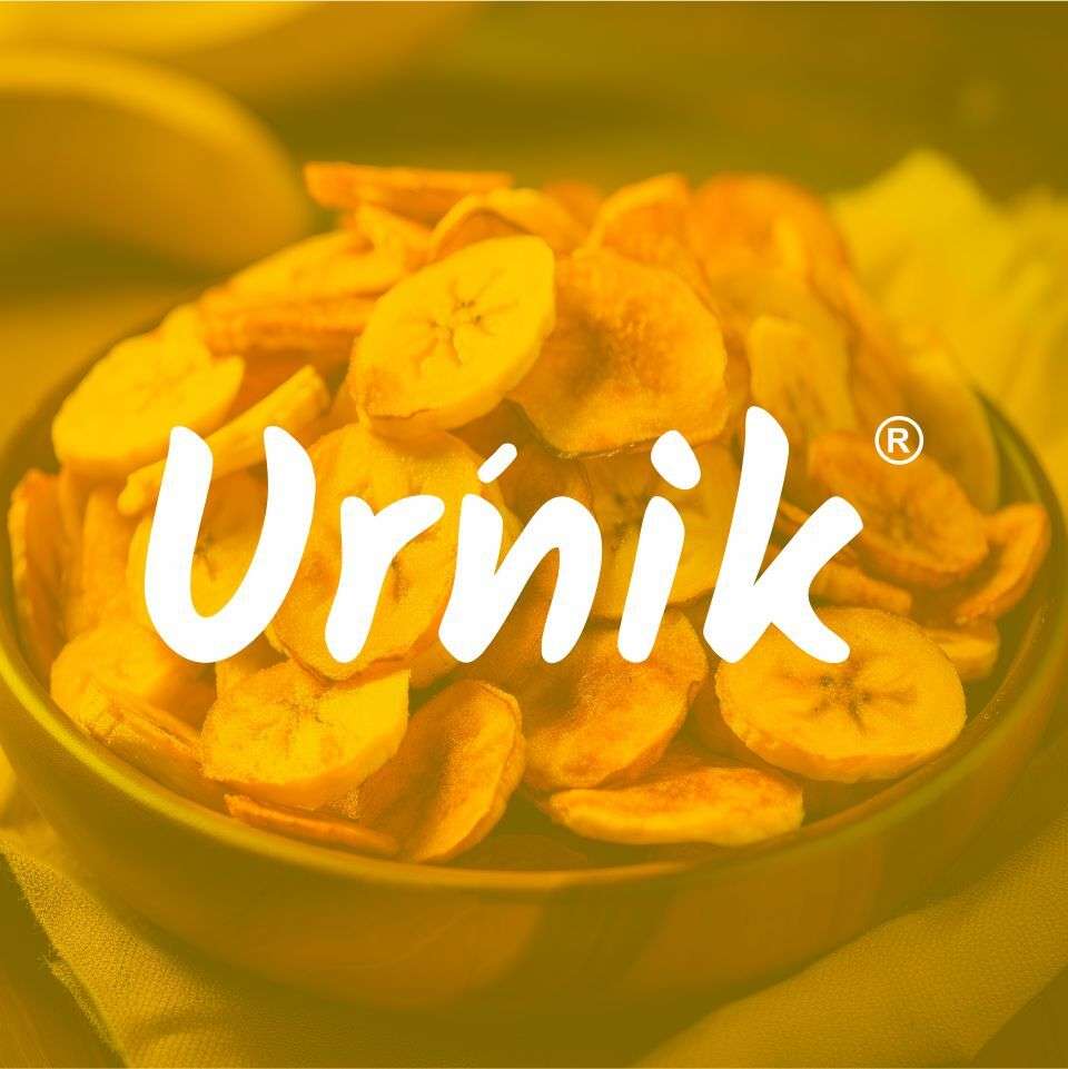 Logo Designing Urinik