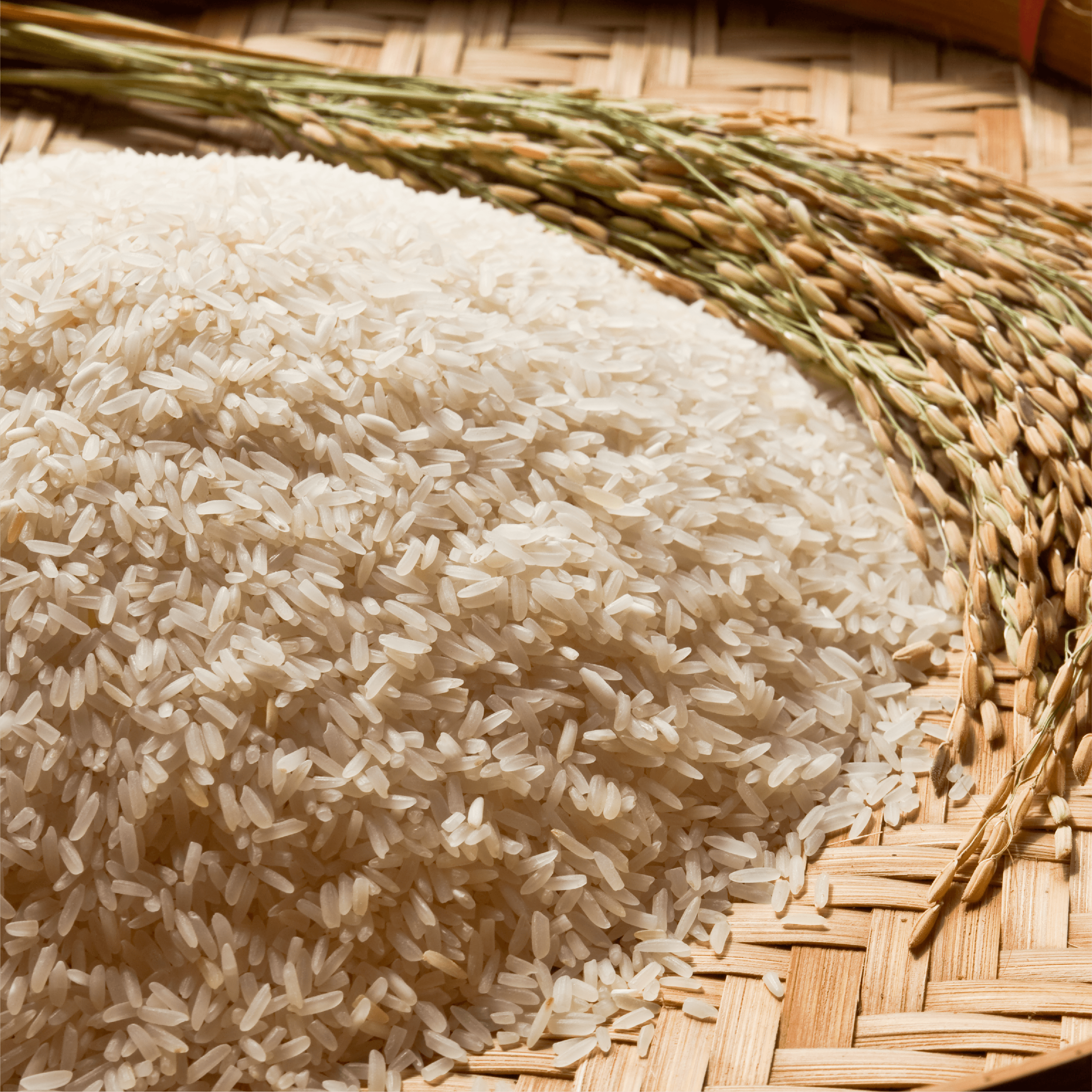 Rice Nutrigain Organics