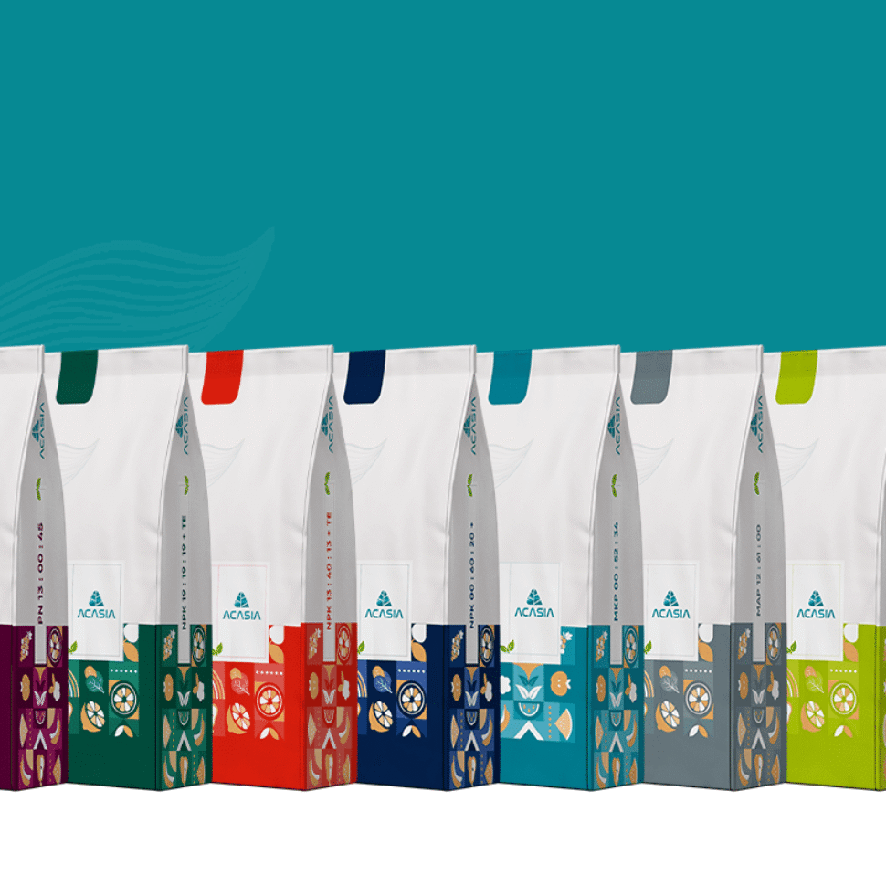 all product designs acasia techno